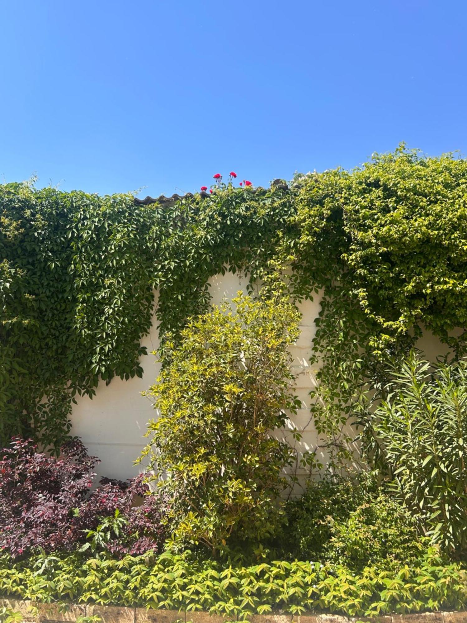 Pizzighettone Residenza La Corte Dış mekan fotoğraf